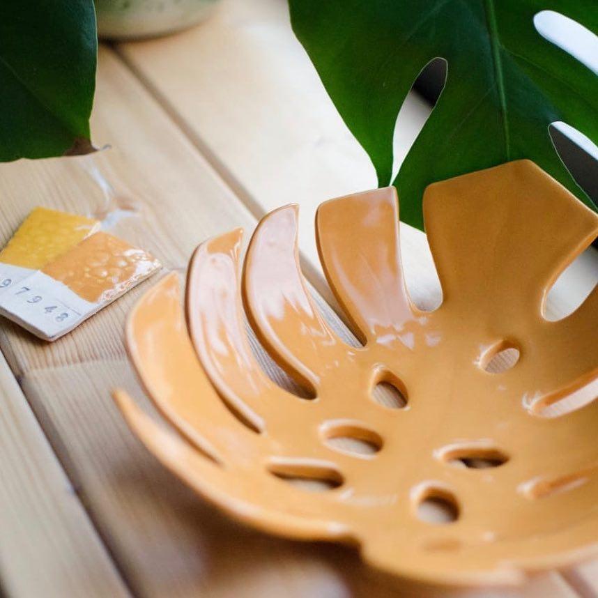 Монстера фото 1