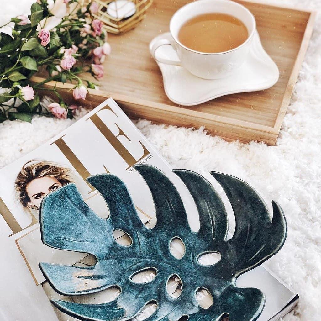 Монстера фото 7