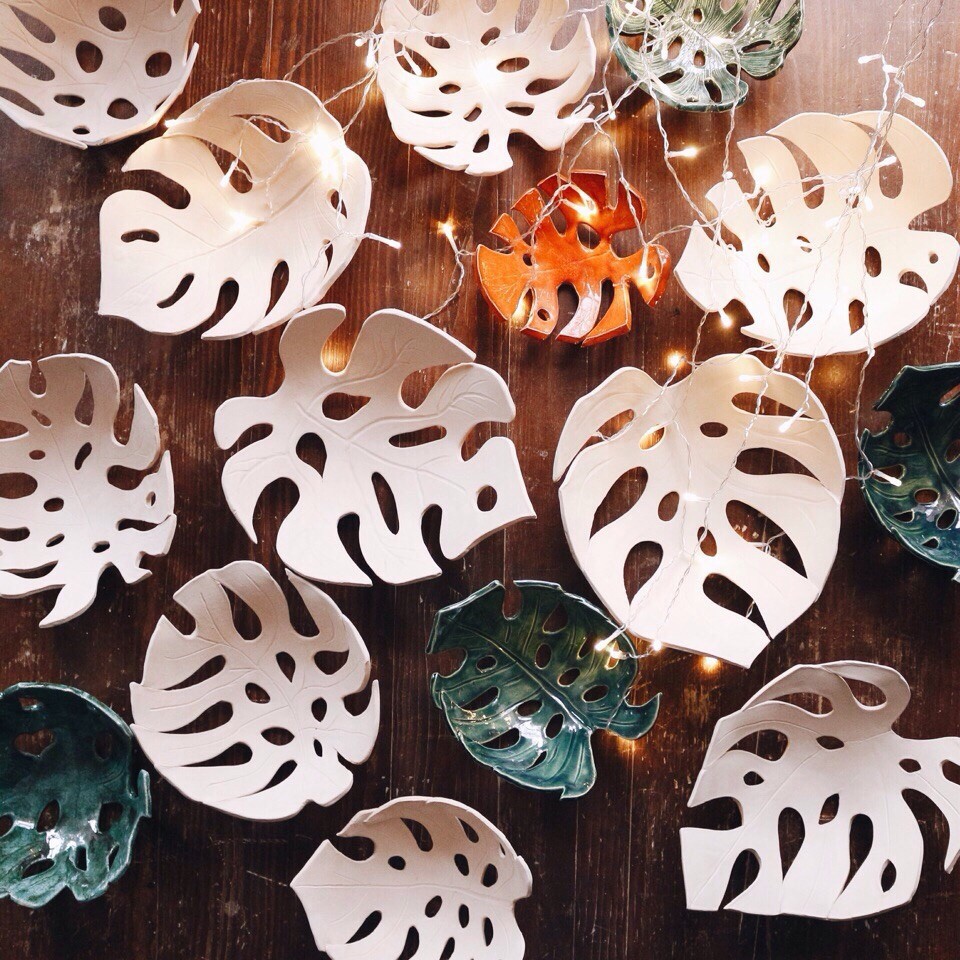 Монстера фото 3