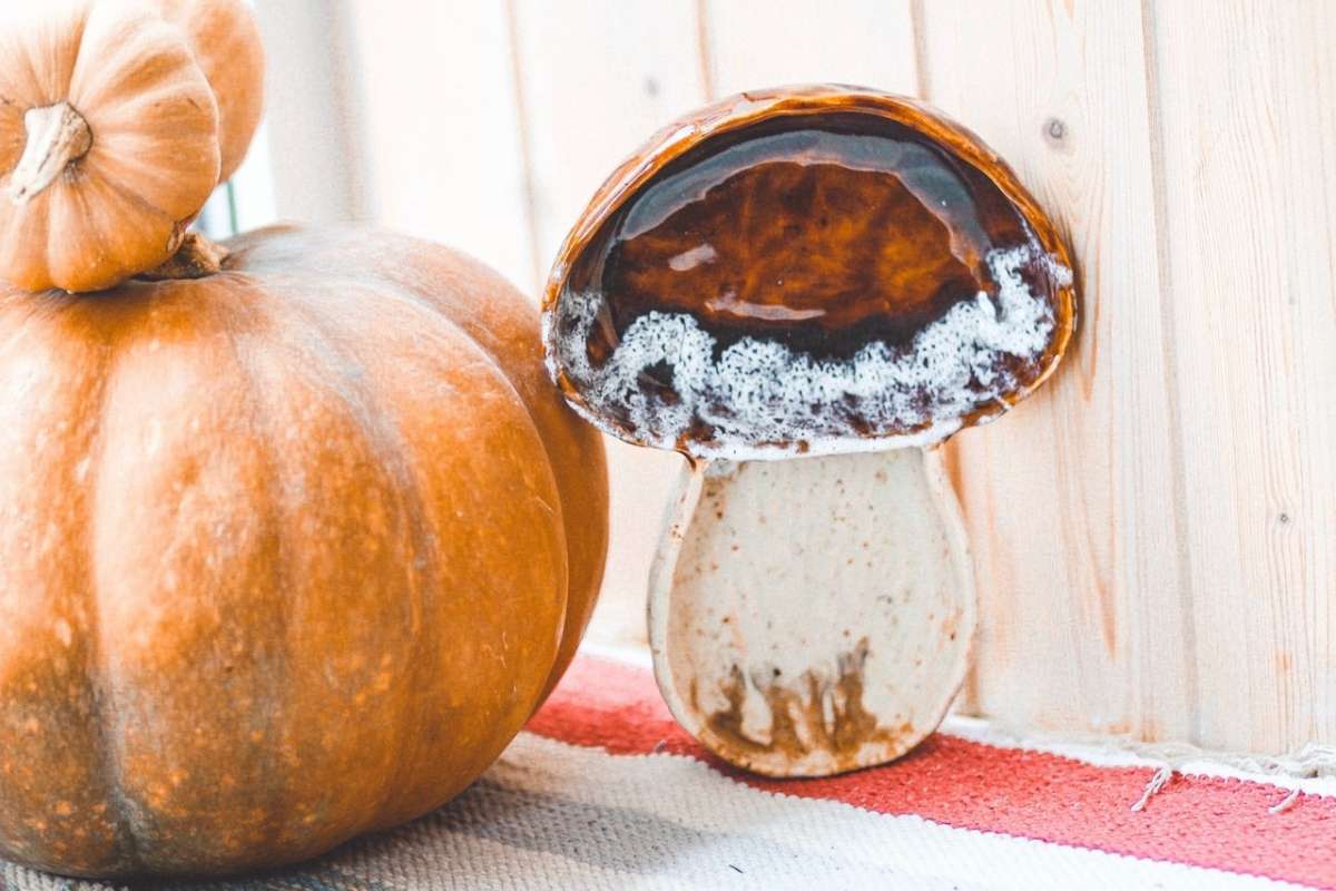 Тарелка-гриб фото 3