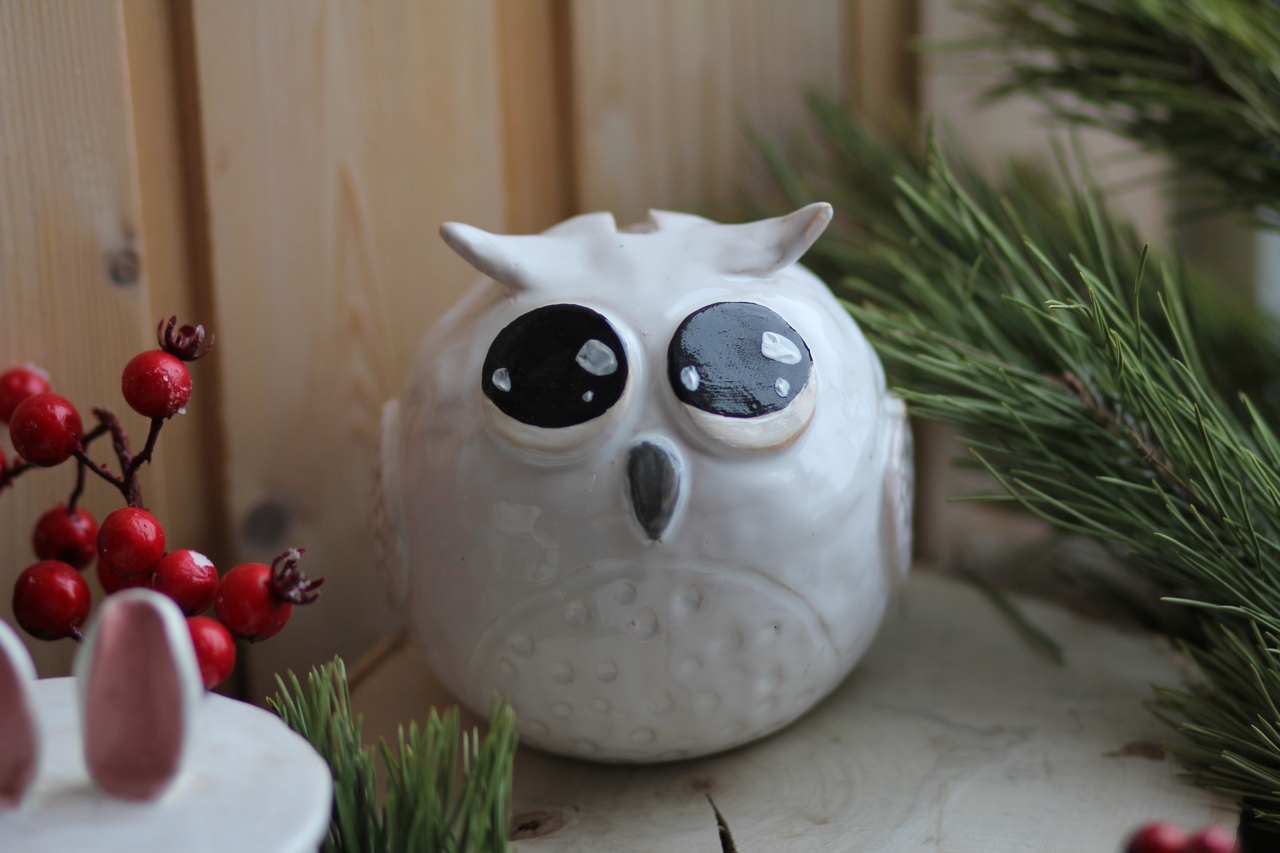 Детский курс "Полярные зверята" фото 4