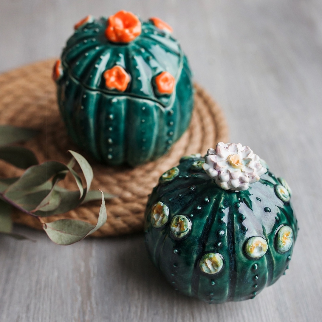 Баночка-кактус фото 2