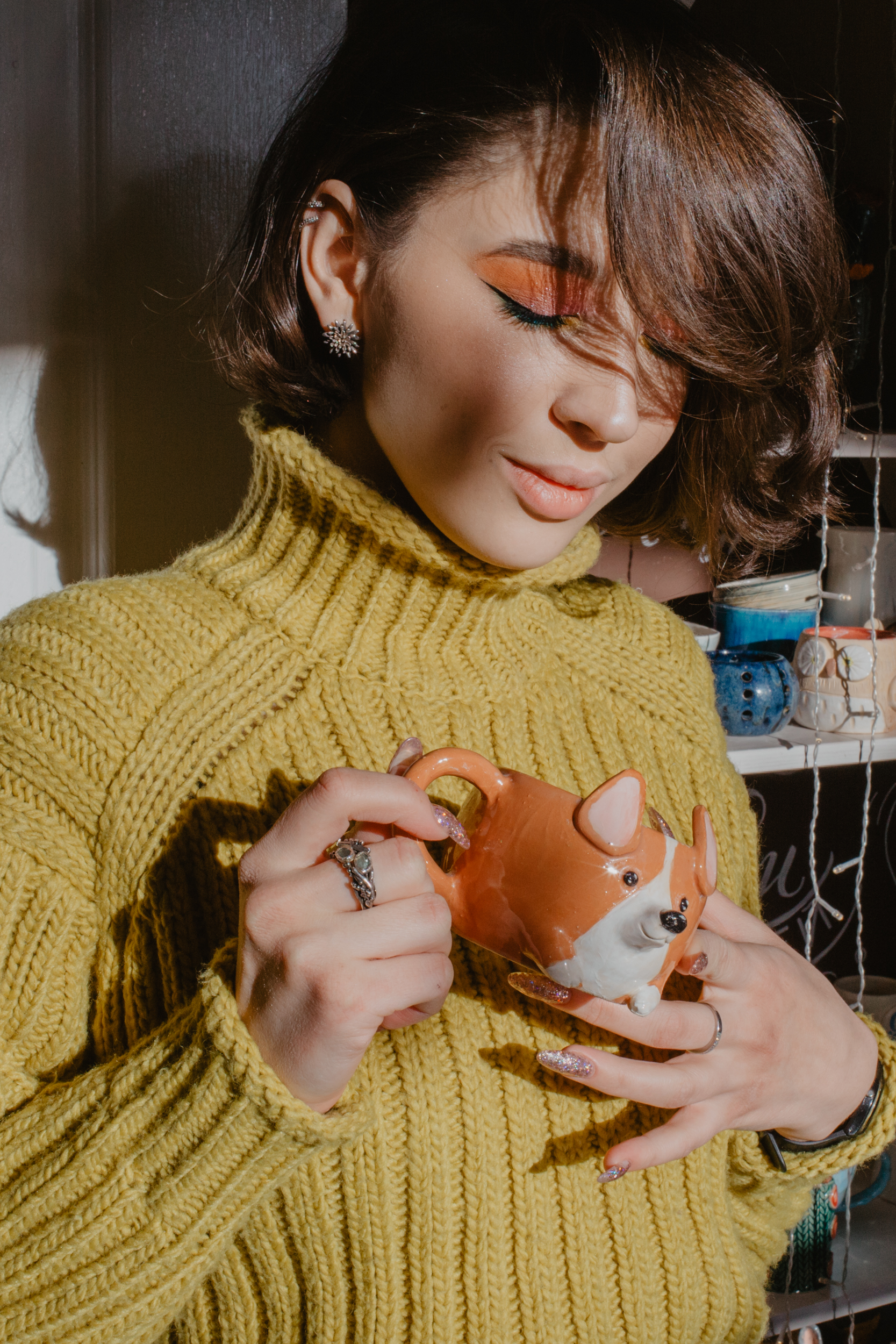 Корги фото 1