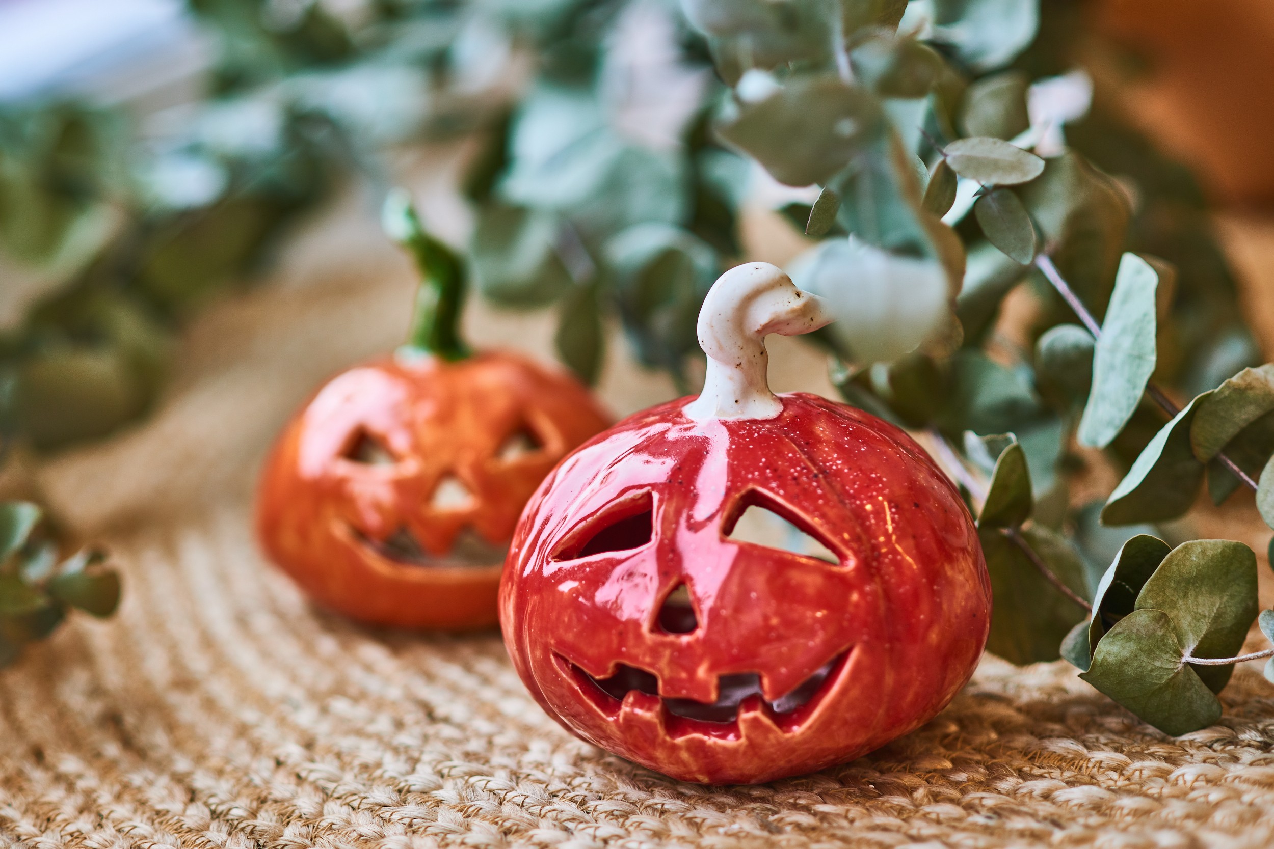 Тыква фото 5