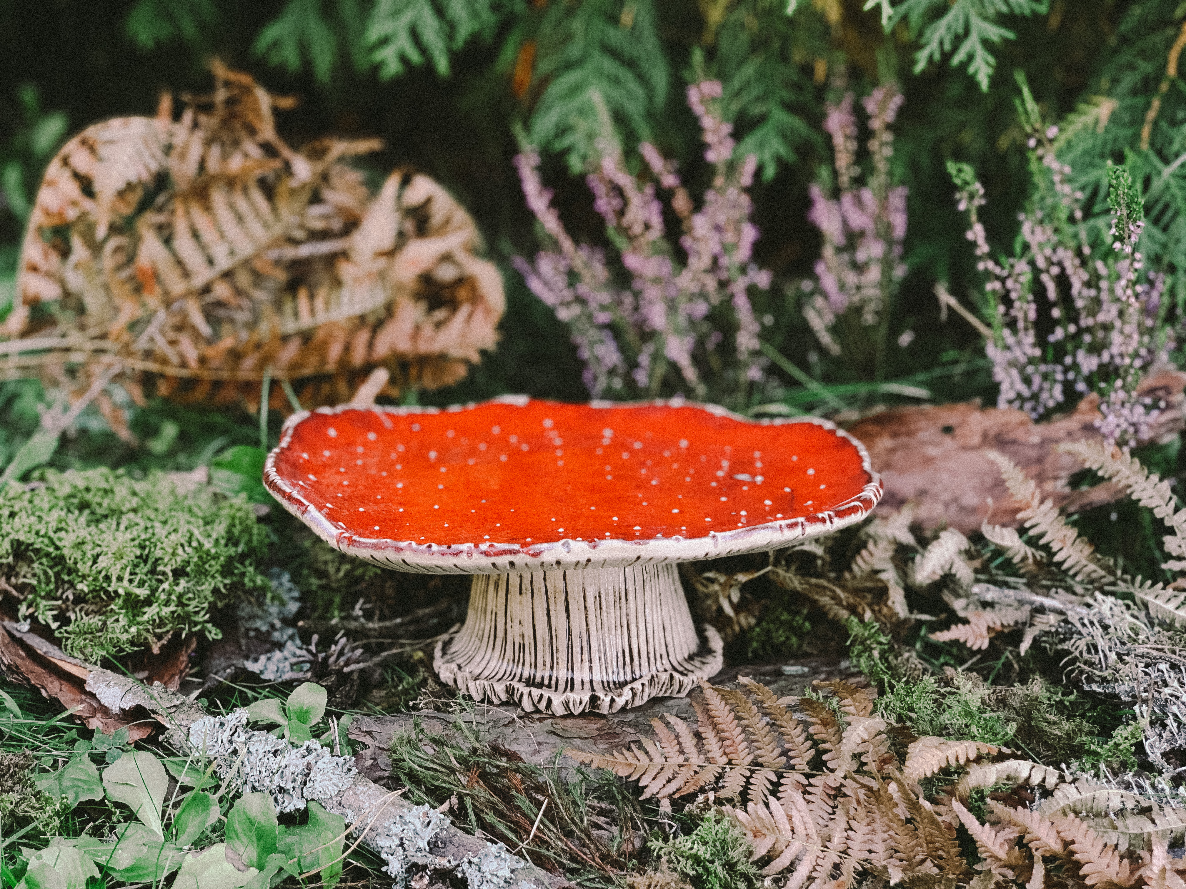 Тортовница Мухомор фото 2