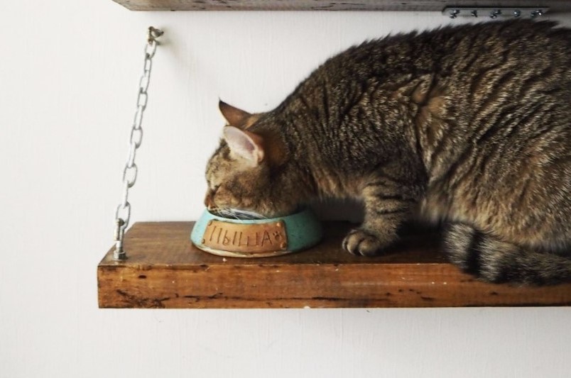 Миска для питомца фото 4