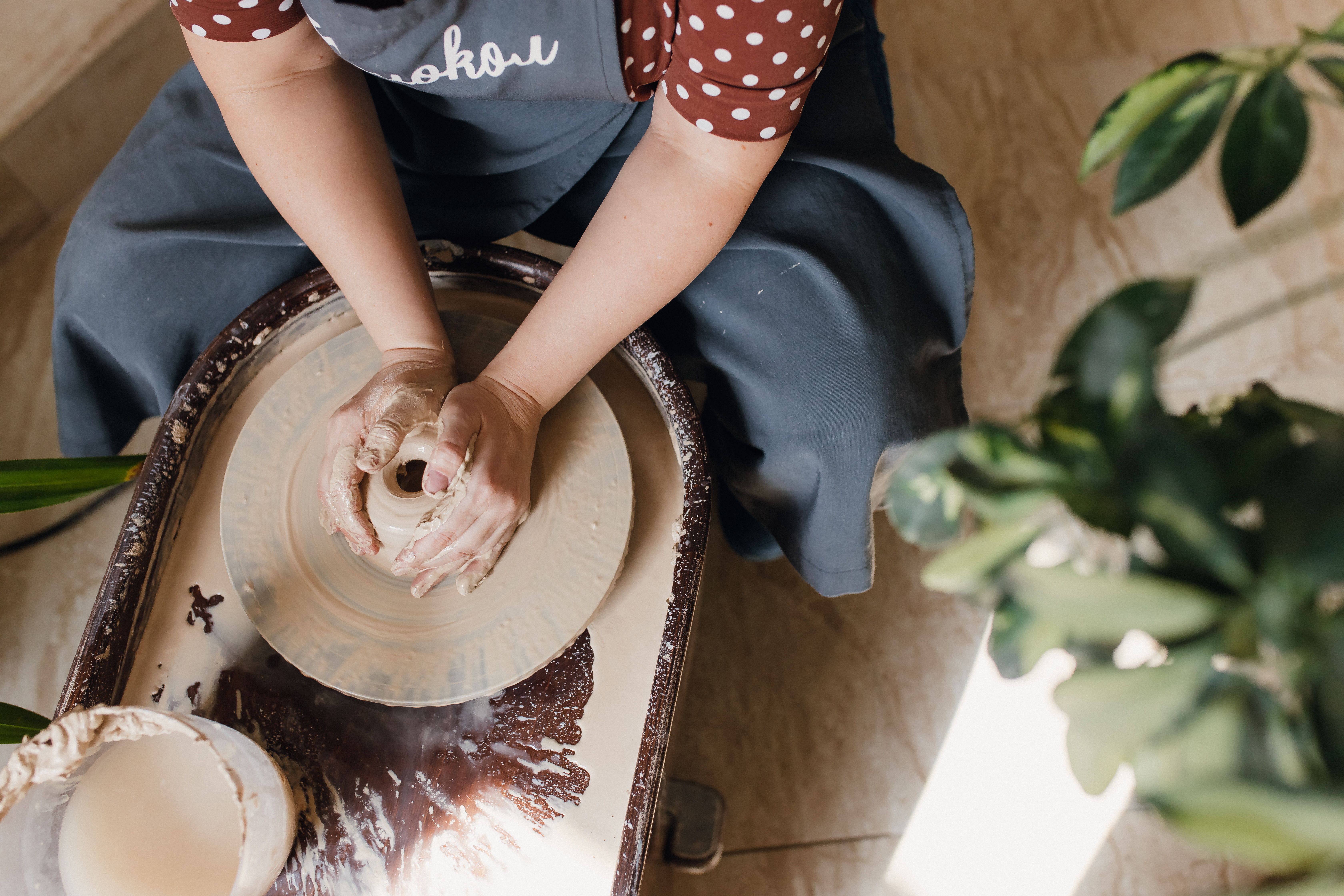 Базовый курс фото 6