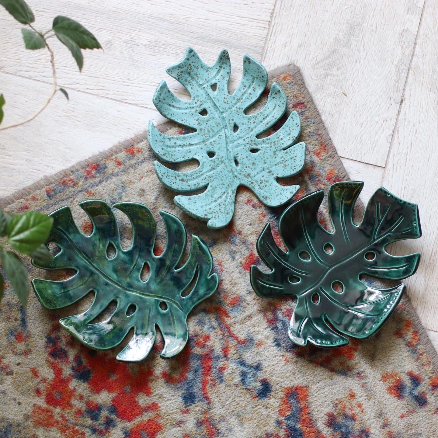 Монстера 13+ фото 9