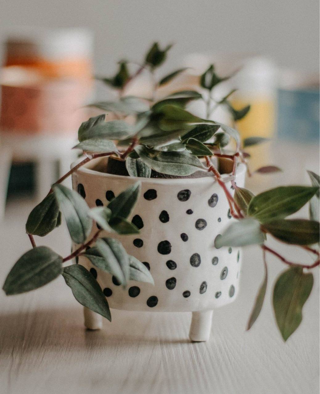 кашпо, лепка фото 2