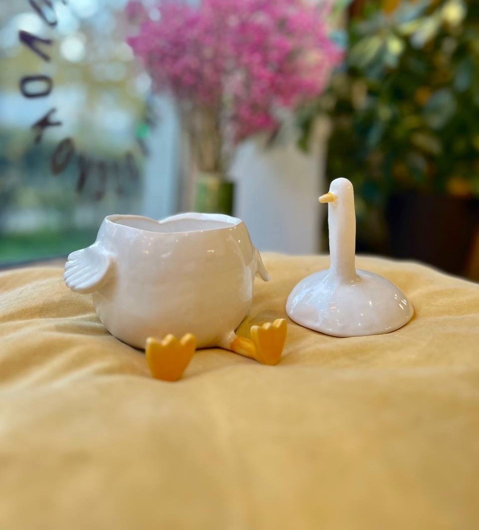 ГУСЬ ОБНИМУСЬ 10+ фото 2