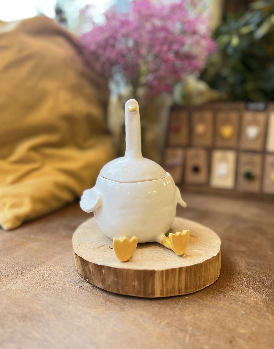 Гусь обнимусь (10+) фото 7