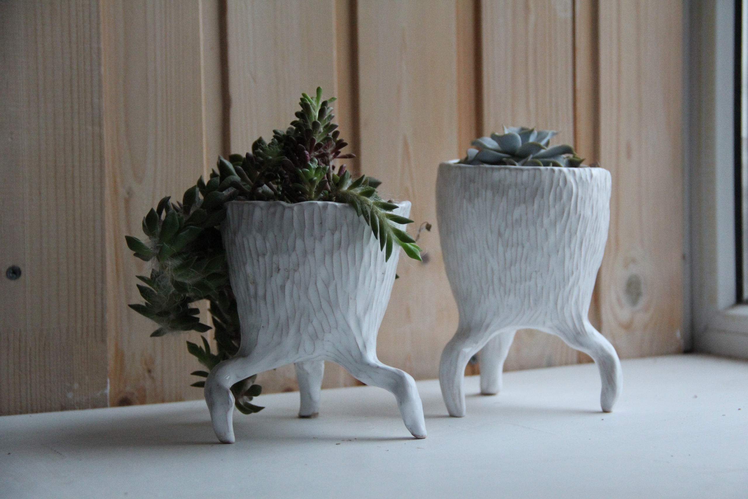 Горшочек для суккулентов (9+) фото 2