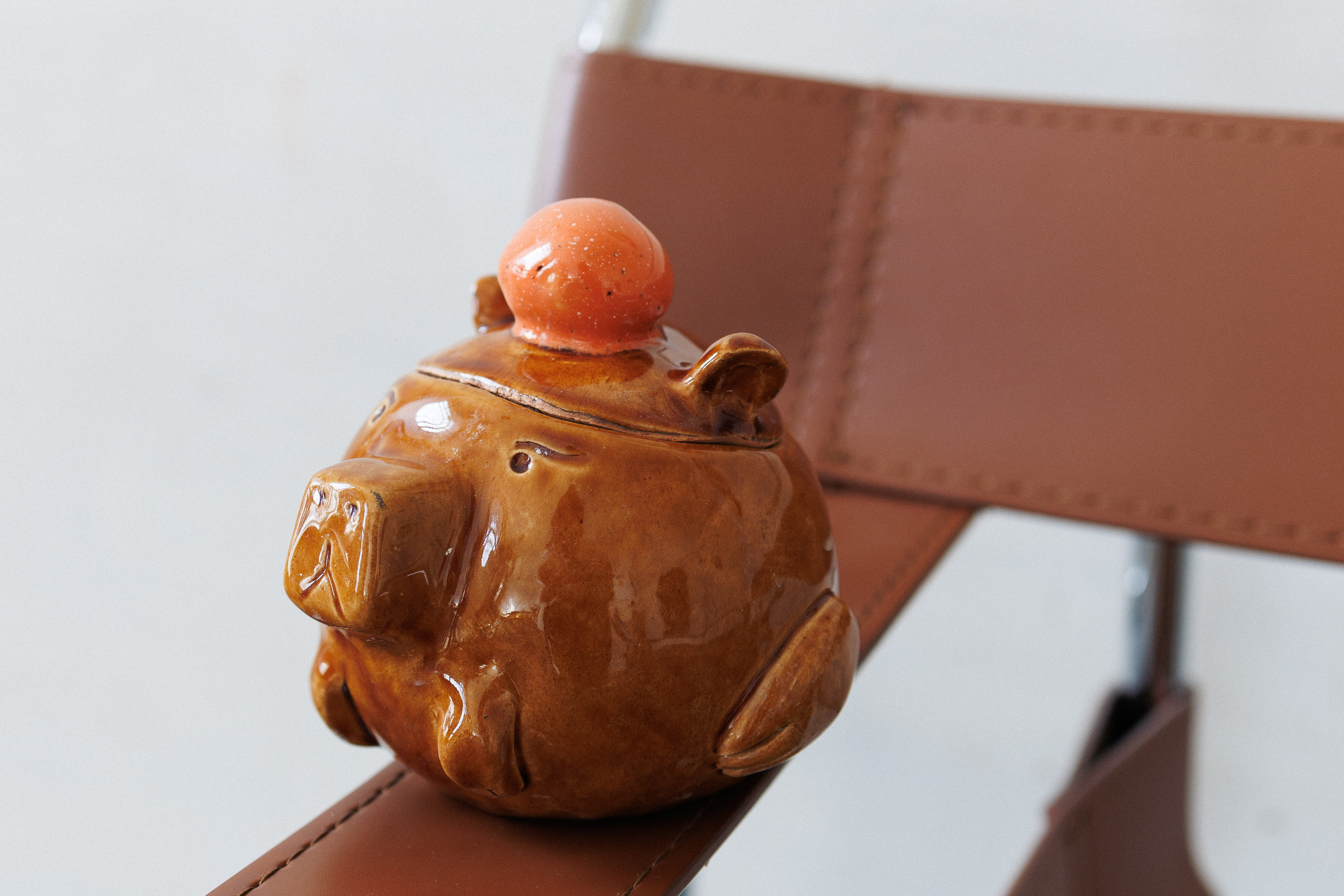 Баночка-лягушка 14+ фото 5