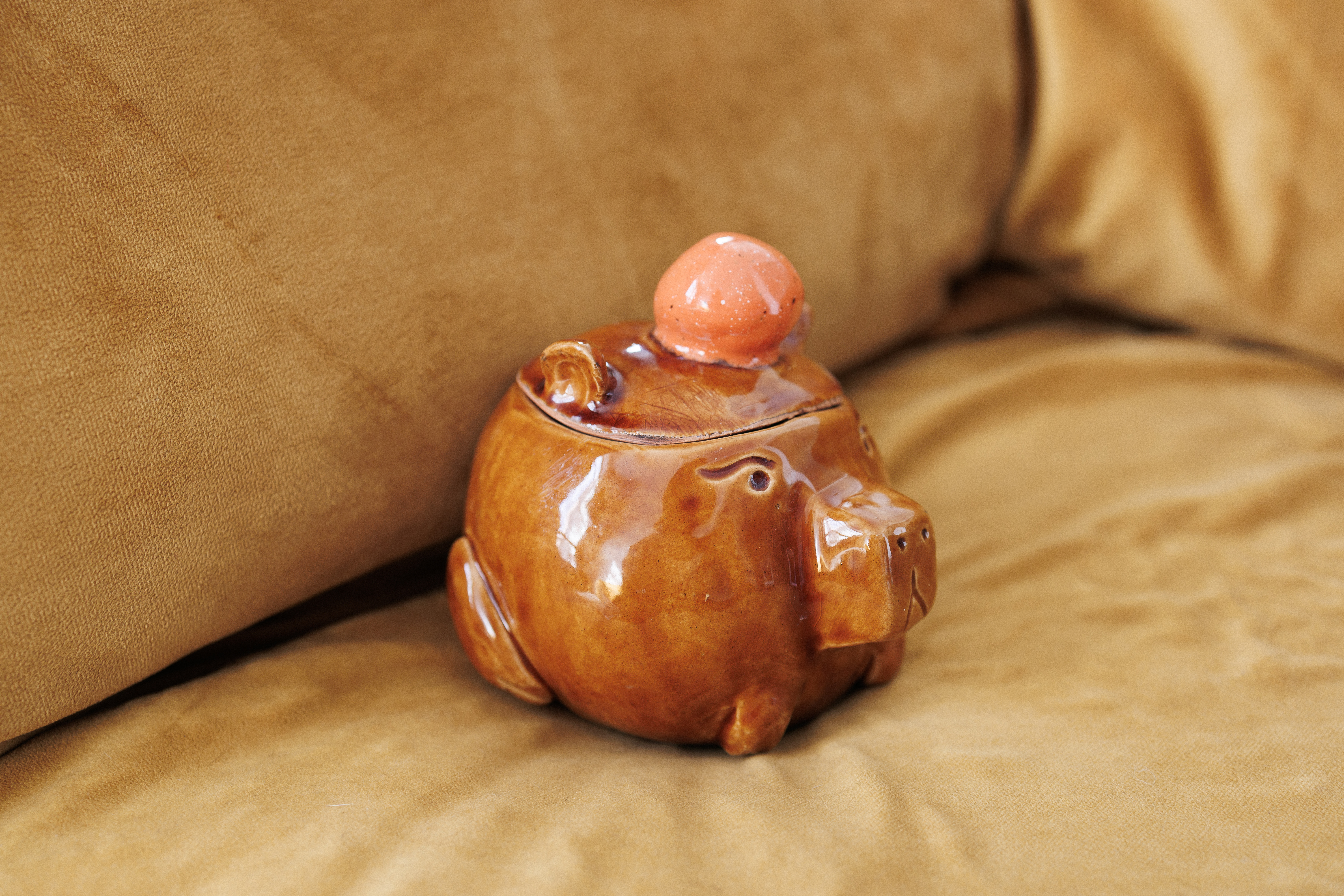 Баночка-лягушка 14+ фото 7