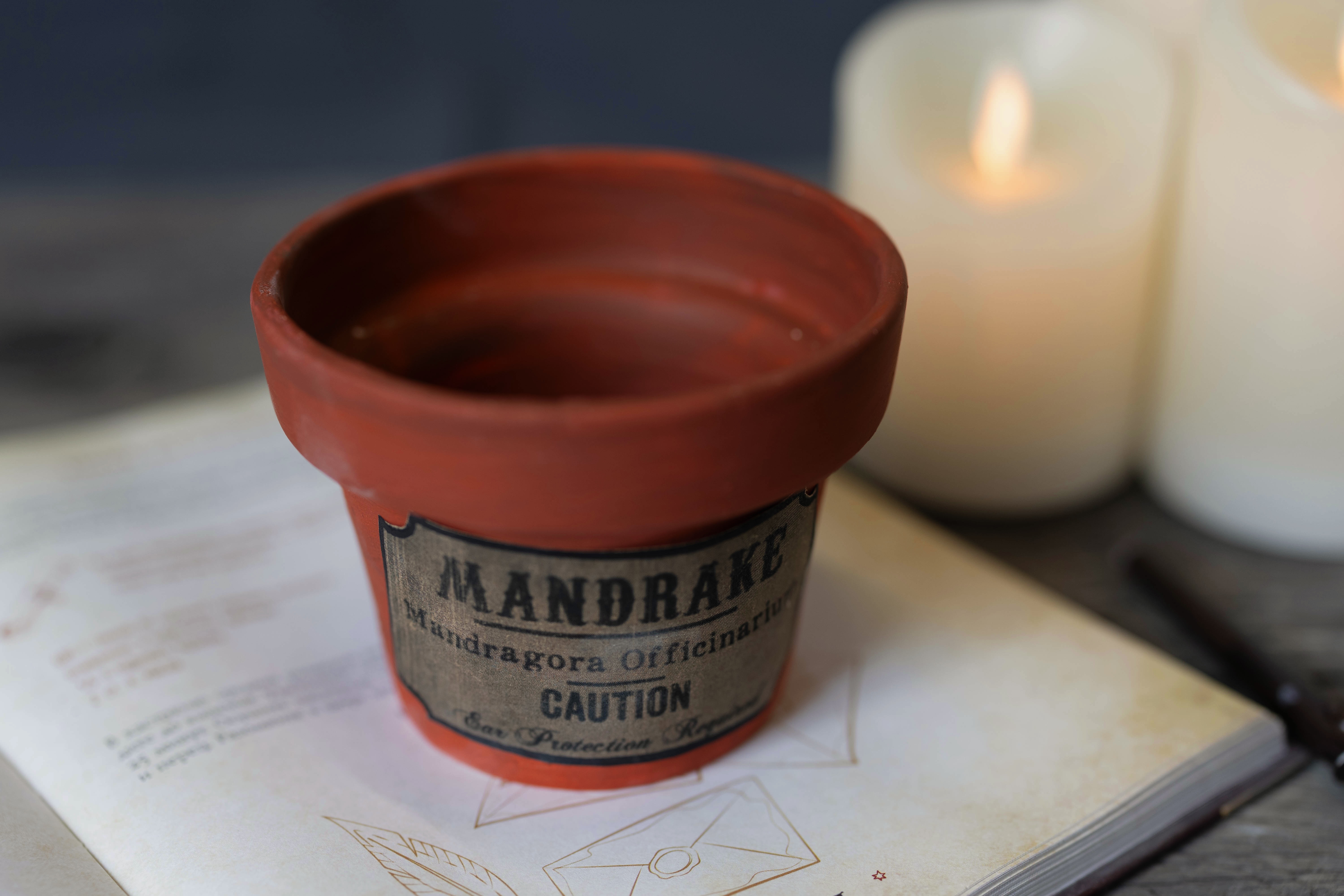 Курс Гарри Поттер NEW 6+ фото 3