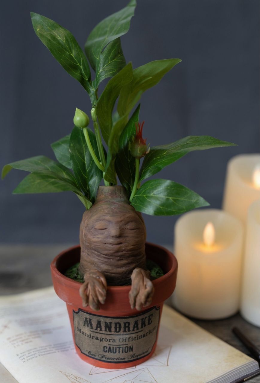 Курс Гарри Поттер NEW 6+ фото 4