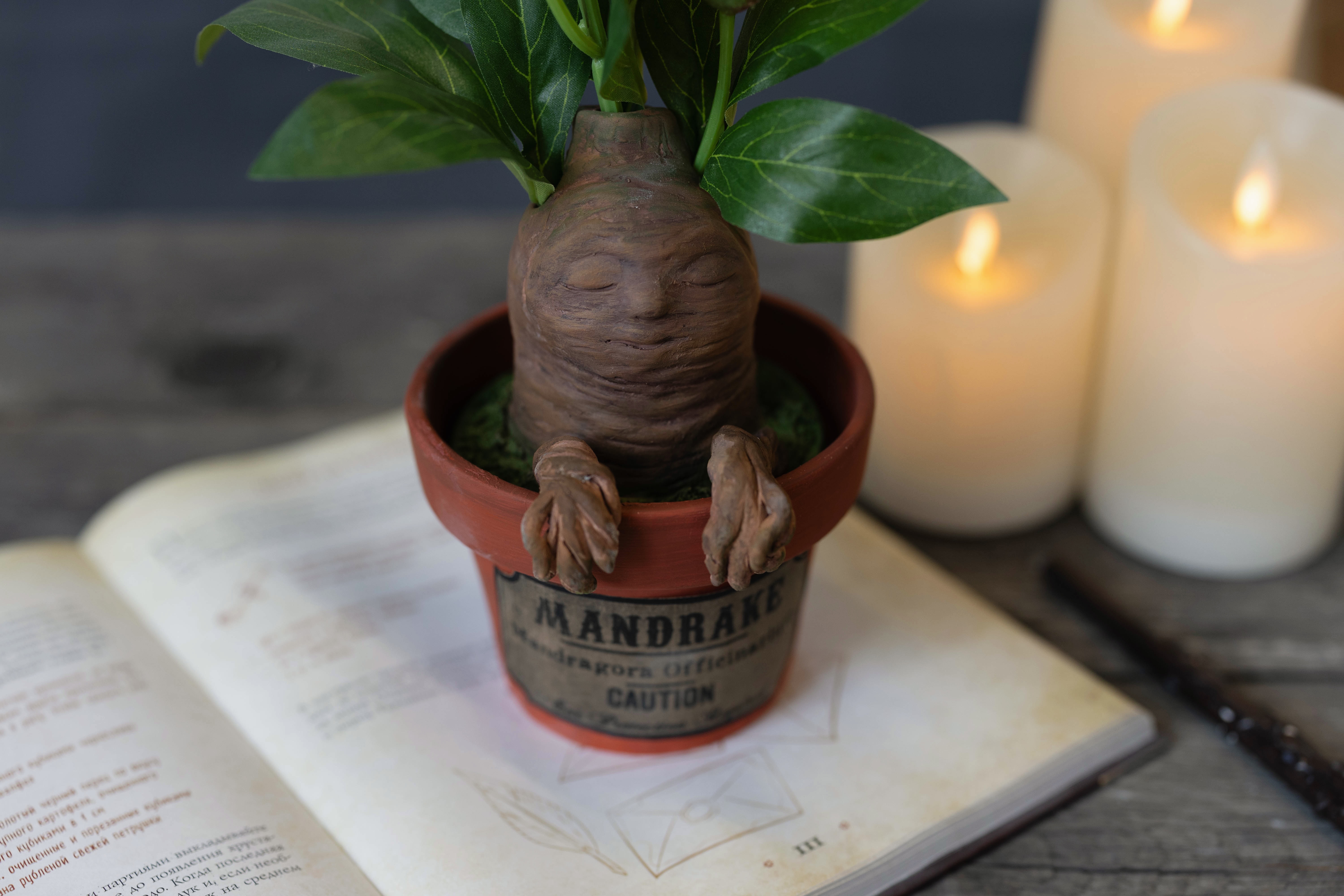 Курс Гарри Поттер NEW 6+ фото 6