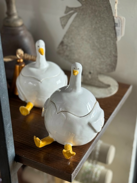 Баночка «Гусь-обнимусь» KIDS (6+) фото 4